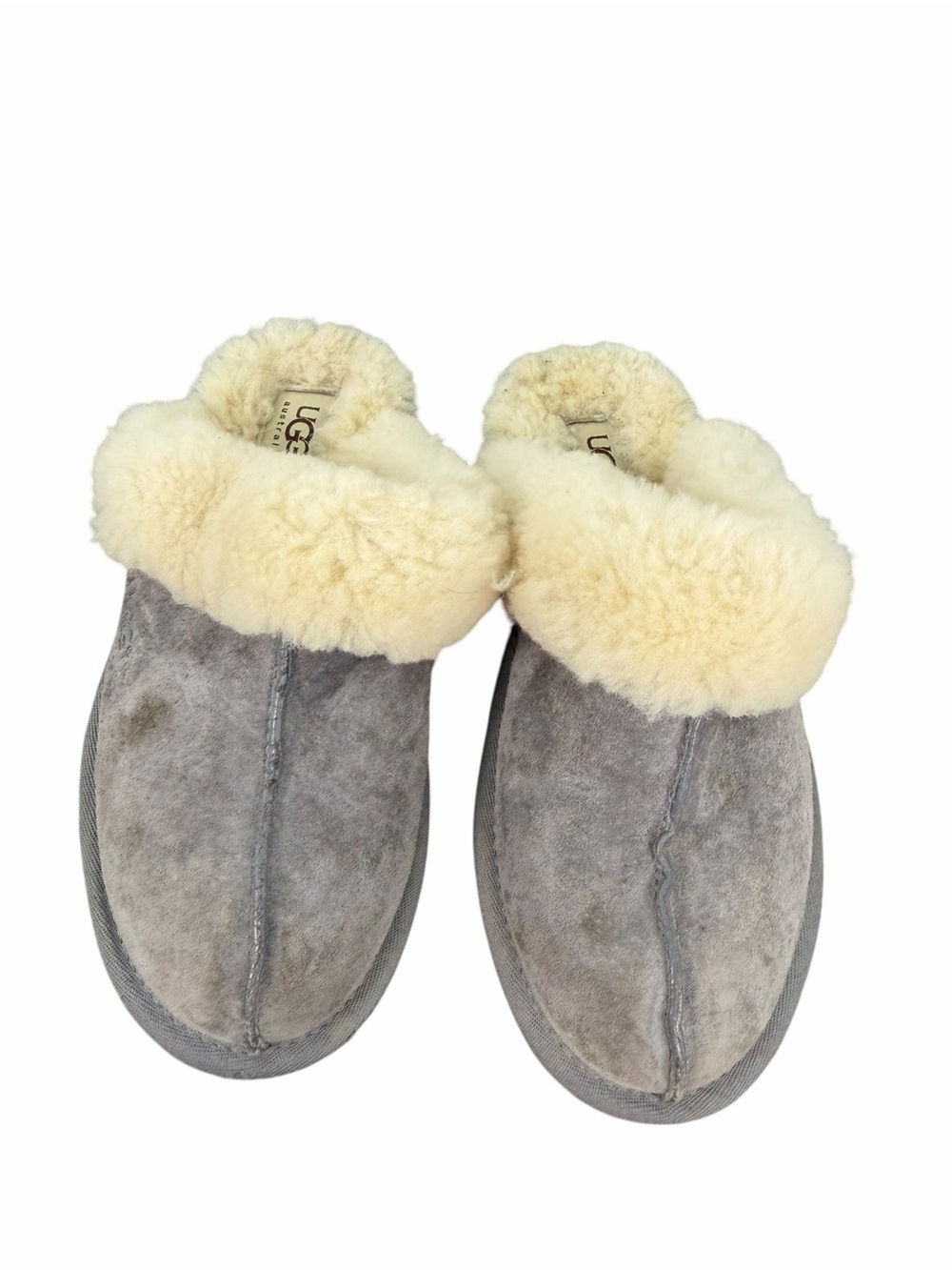 UGG Scuffette II Plush Gray Sheepskin Lined Slippers in Cream